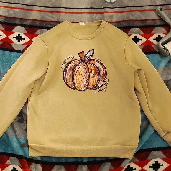 SHEIN Other - Fall pumpkin sweater size 10